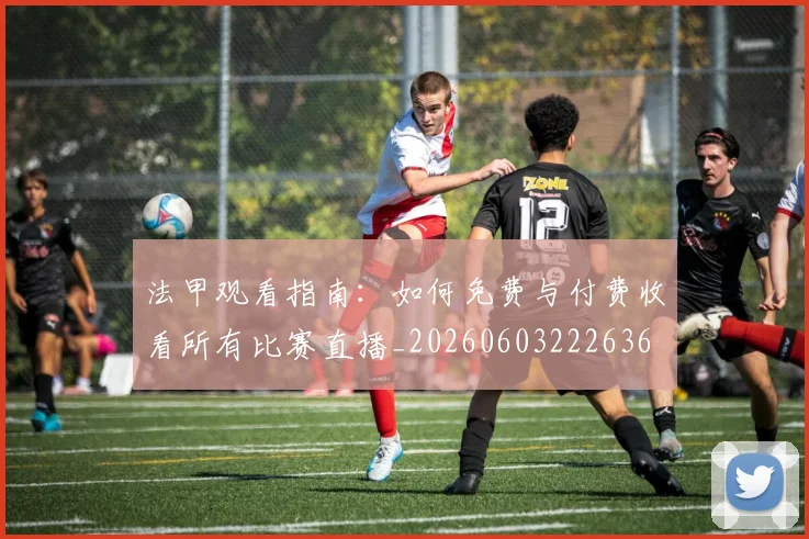 法甲观看指南：如何免费与付费收看所有比赛直播_20260603222636