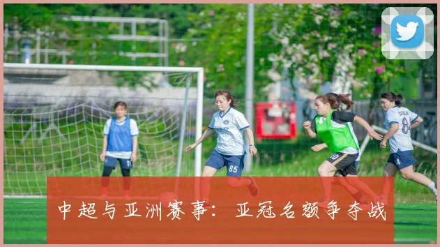 中超与亚洲赛事：亚冠名额争夺战