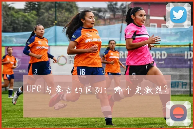UFC 与拳击的区别:哪个更激烈?